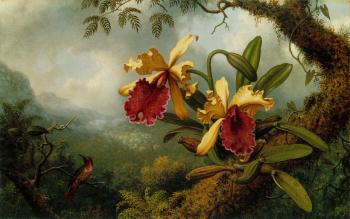 馬丁 約翰遜 赫德 Orchids and Hummingbird 馬丁 約翰遜 赫德 Orchids and Hummingbird